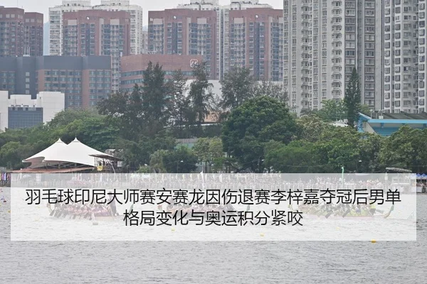 羽毛球印尼大师赛安赛龙因伤退赛李梓嘉夺冠后男单格局变化与奥运积分紧咬